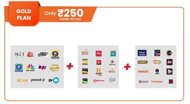 banner-plan-250-whiteold